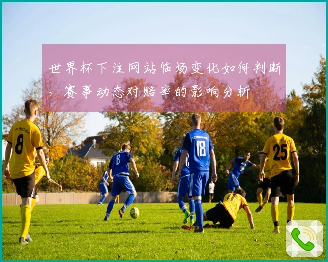 世界杯下注网站临场变化如何判断，赛事动态对赔率的影响分析