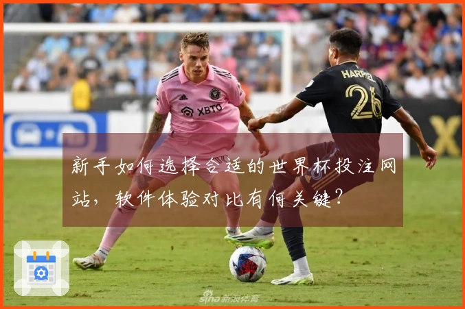 新手如何选择合适的世界杯投注网站，软件体验对比有何关键？