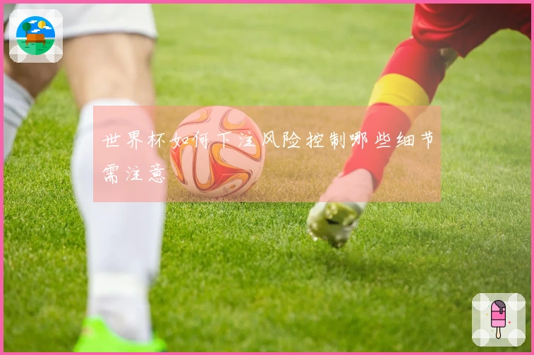 世界杯如何下注风险控制哪些细节需注意
