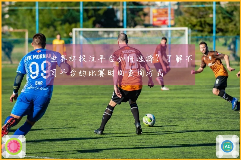 世界杯投注平台如何选择？了解不同平台的比赛时间查询方式