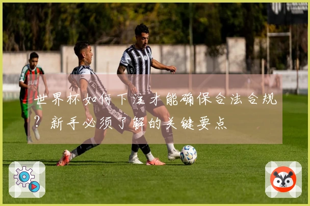 世界杯如何下注才能确保合法合规？新手必须了解的关键要点