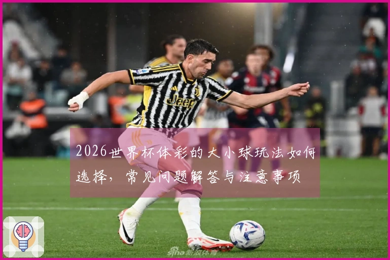 2026世界杯体彩的大小球玩法如何选择，常见问题解答与注意事项