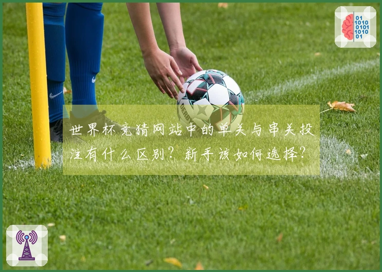 世界杯竞猜网站中的单关与串关投注有什么区别？新手该如何选择？