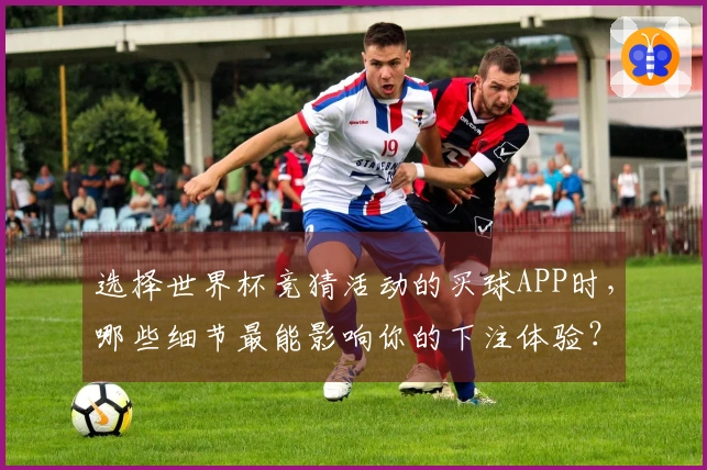选择世界杯竞猜活动的买球APP时，哪些细节最能影响你的下注体验？