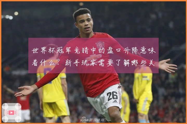 世界杯冠军竞猜中的盘口升降意味着什么？新手玩家需要了解哪些关键点？