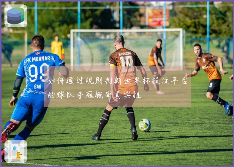 如何通过规则判断世界杯投注平台的球队夺冠概率真实性