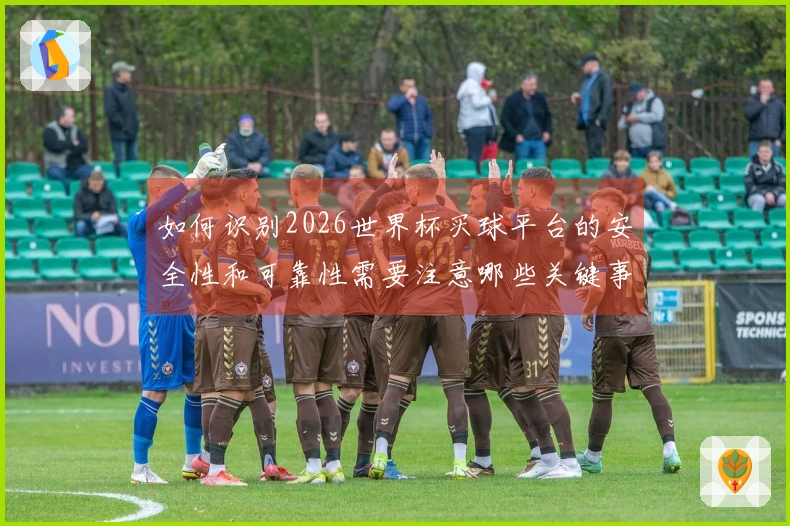 如何识别2026世界杯买球平台的安全性和可靠性需要注意哪些关键事项