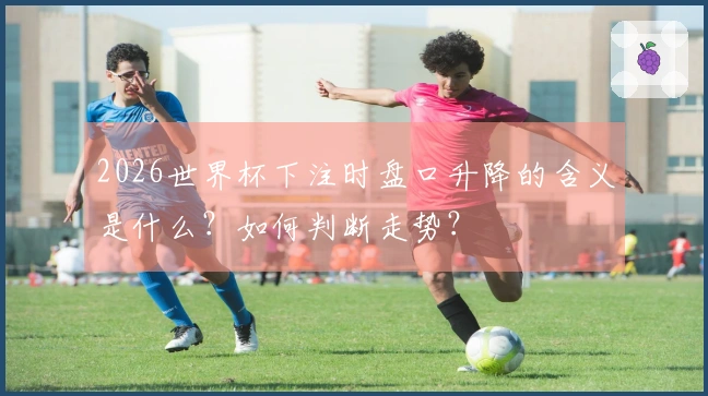 2026世界杯下注时盘口升降的含义是什么？如何判断走势？
