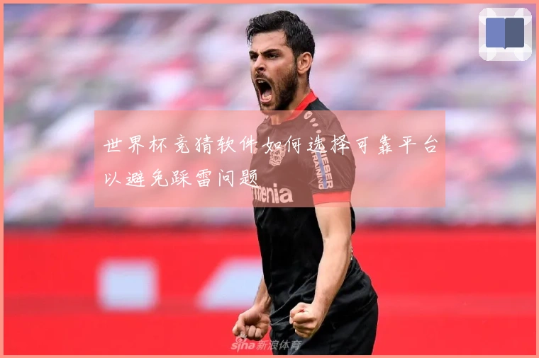 世界杯竞猜软件如何选择可靠平台以避免踩雷问题