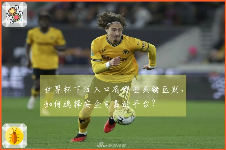世界杯下注入口有哪些关键区别，如何选择安全可靠的平台？