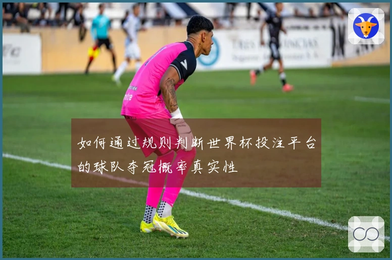 如何通过规则判断世界杯投注平台的球队夺冠概率真实性