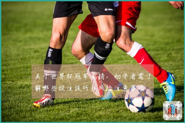 关于世界杯冠军竞猜，初学者需了解哪些投注技巧和风险注意事项