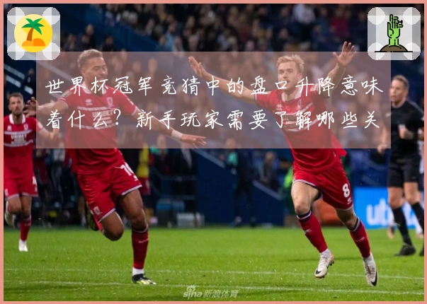 世界杯冠军竞猜中的盘口升降意味着什么？新手玩家需要了解哪些关键点？