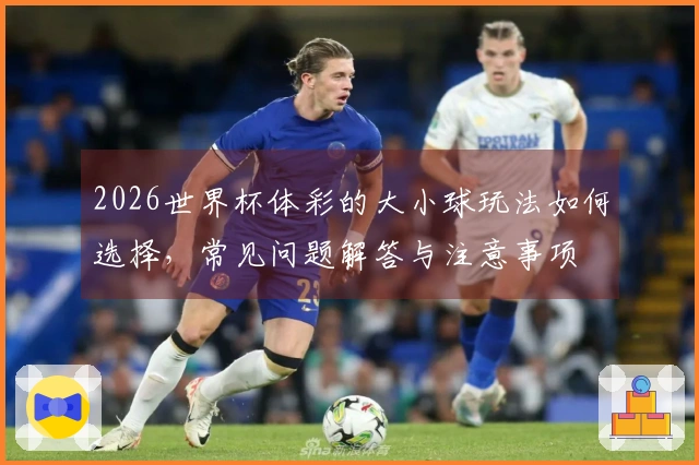 2026世界杯体彩的大小球玩法如何选择，常见问题解答与注意事项