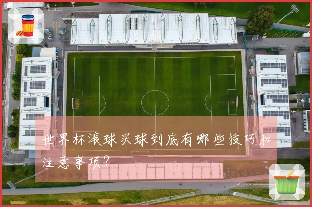 世界杯滚球买球到底有哪些技巧和注意事项？