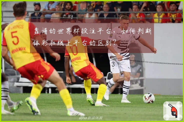靠谱的世界杯投注平台，如何判断体彩和线上平台的区别？
