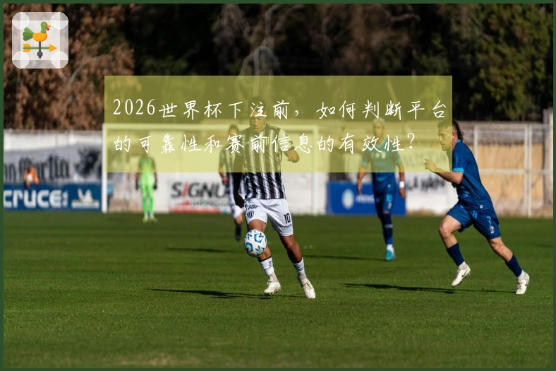 2026世界杯下注前，如何判断平台的可靠性和赛前信息的有效性？