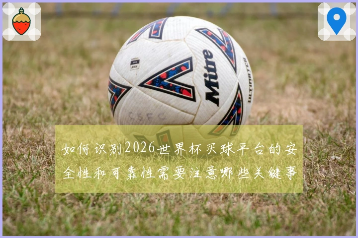 如何识别2026世界杯买球平台的安全性和可靠性需要注意哪些关键事项