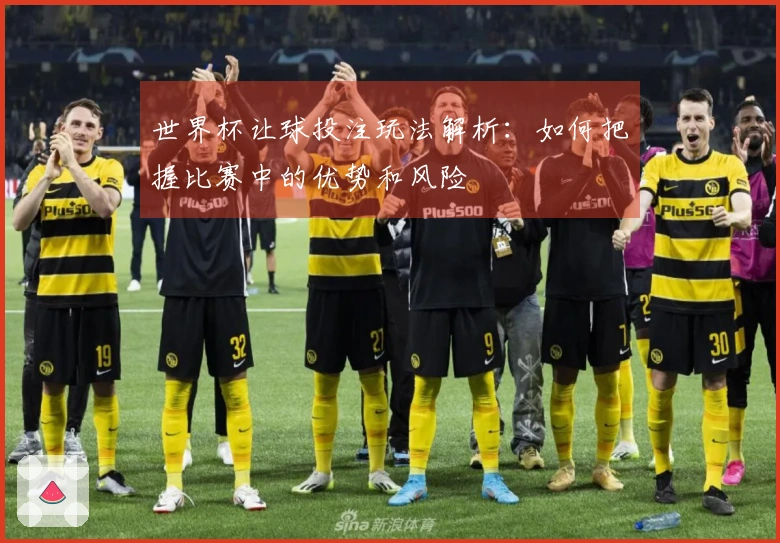 世界杯让球投注玩法解析：如何把握比赛中的优势和风险
