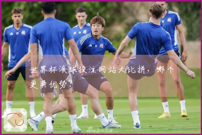 世界杯滚球投注网站大比拼，哪个更具优势？