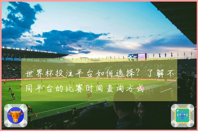 世界杯投注平台如何选择？了解不同平台的比赛时间查询方式