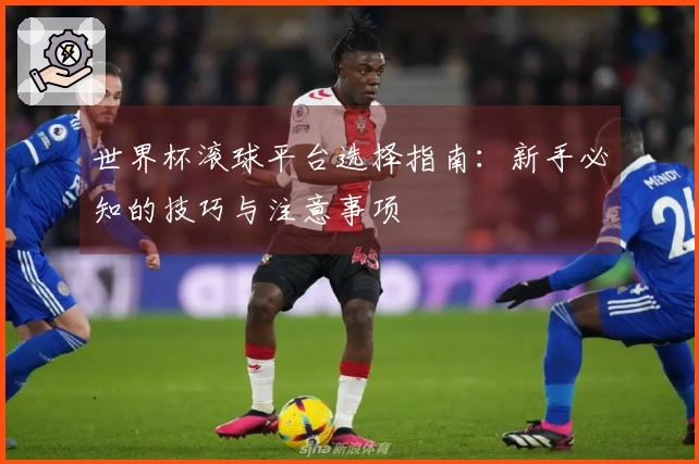 世界杯滚球平台选择指南：新手必知的技巧与注意事项