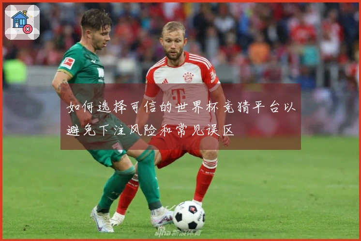 如何选择可信的世界杯竞猜平台以避免下注风险和常见误区