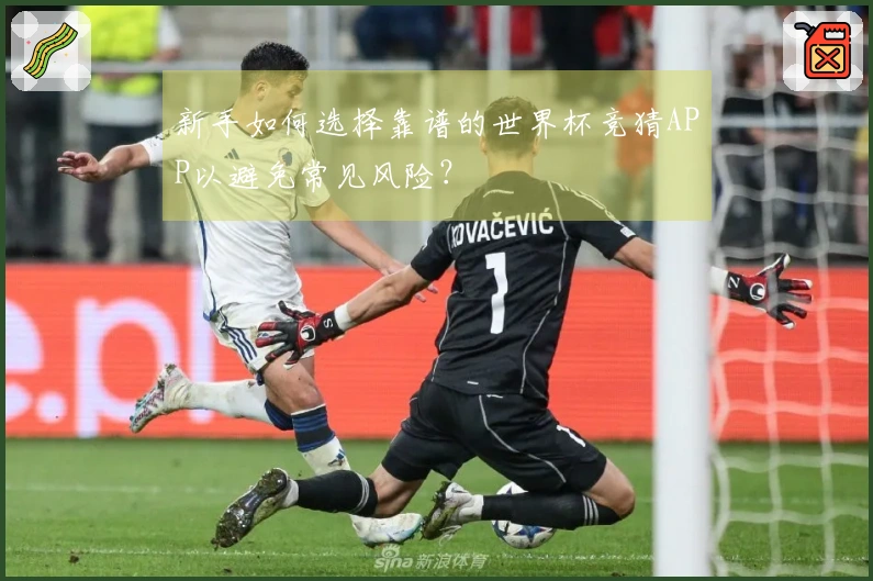 新手如何选择靠谱的世界杯竞猜APP以避免常见风险？