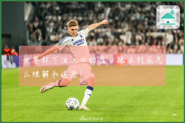 世界杯下注入口的盘口玩法到底怎么理解和运用？