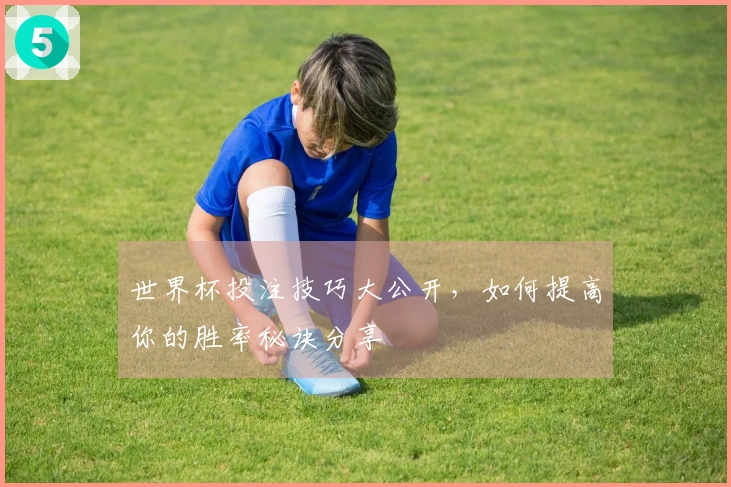 世界杯投注技巧大公开，如何提高你的胜率秘诀分享